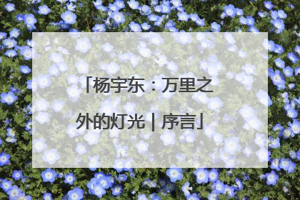 杨宇东：万里之外的灯光｜序言