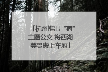 杭州推出“荷”主题公交 将西湖美景搬上车厢