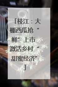 枝江：大棚西瓜抢“鲜”上市 激活乡村“甜蜜经济”