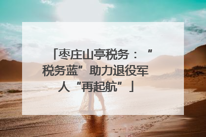 枣庄山亭税务：“税务蓝”助力退役军人“再起航”