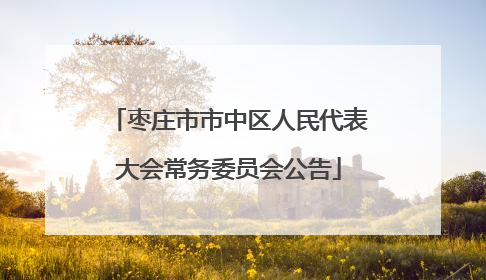 枣庄市市中区人民代表大会常务委员会公告