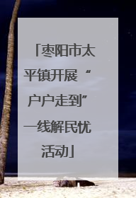 枣阳市太平镇开展“户户走到”一线解民忧活动