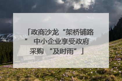 政商沙龙“架桥铺路” 中小企业享受政府采购 “及时雨”