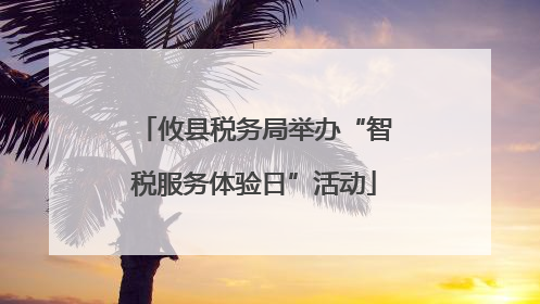 攸县税务局举办“智税服务体验日”活动