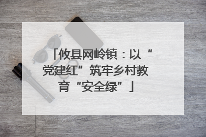 攸县网岭镇：以“党建红”筑牢乡村教育“安全绿”