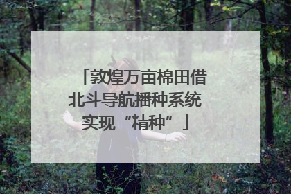 敦煌万亩棉田借北斗导航播种系统实现“精种”