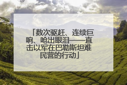 数次驱赶、连续巨响、呛出眼泪——直击以军在巴勒斯坦难民营的行动