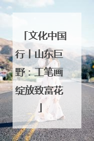 文化中国行丨山东巨野：工笔画绽放致富花
