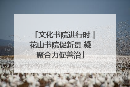 文化书院进行时｜花山书院促新景 凝聚合力促善治