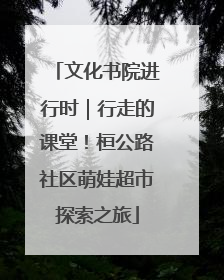 文化书院进行时｜行走的课堂！桓公路社区萌娃超市探索之旅