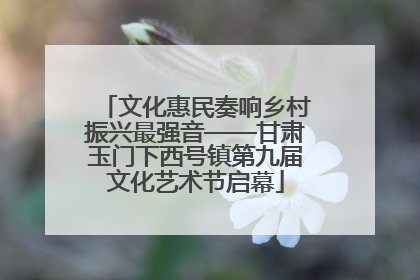 文化惠民奏响乡村振兴最强音——甘肃玉门下西号镇第九届文化艺术节启幕