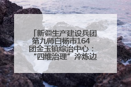 新疆生产建设兵团第九师白杨市164团金玉镇综治中心：“四维治理”淬炼边疆“枫桥样本”