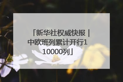 新华社权威快报｜中欧班列累计开行110000列
