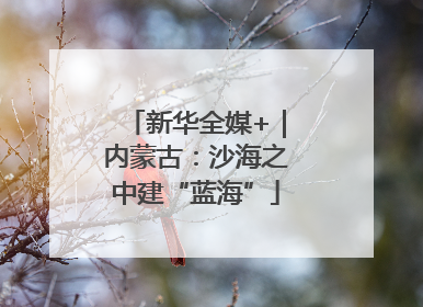 新华全媒+｜内蒙古：沙海之中建“蓝海”