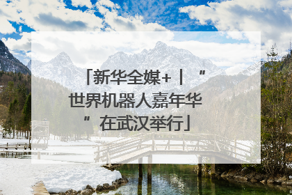 新华全媒+丨“世界机器人嘉年华”在武汉举行