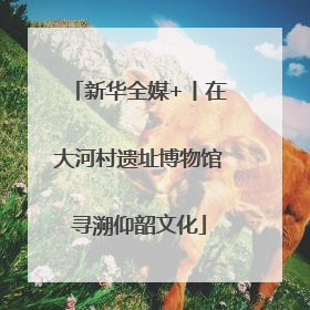新华全媒+丨在大河村遗址博物馆寻溯仰韶文化