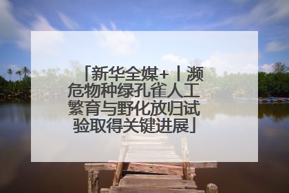 新华全媒+丨濒危物种绿孔雀人工繁育与野化放归试验取得关键进展