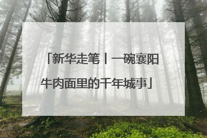 新华走笔丨一碗襄阳牛肉面里的千年城事
