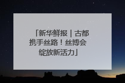 新华鲜报｜古都携手丝路！丝博会绽放新活力