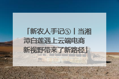 新农人手记⑤丨当湘潭白莲遇上云端电商 新视野带来了新路径
