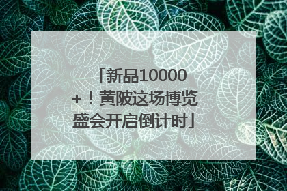 新品10000+！黄陂这场博览盛会开启倒计时
