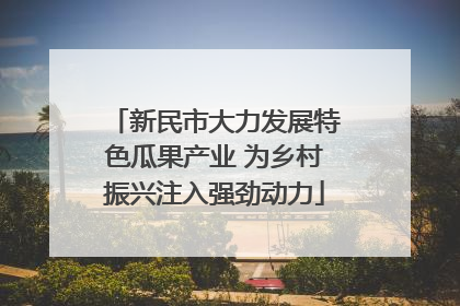 新民市大力发展特色瓜果产业 为乡村振兴注入强劲动力