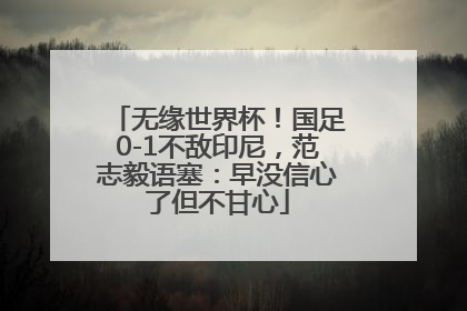 无缘世界杯！国足0-1不敌印尼，范志毅语塞：早没信心了但不甘心