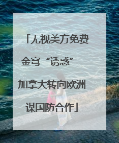 无视美方免费金穹“诱惑” 加拿大转向欧洲谋国防合作