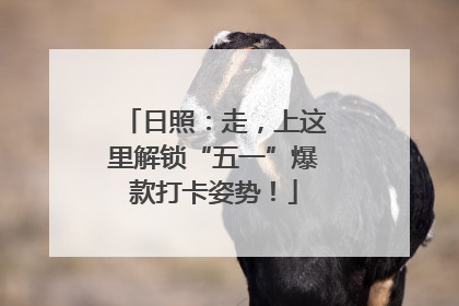 日照：走，上这里解锁“五一”爆款打卡姿势！