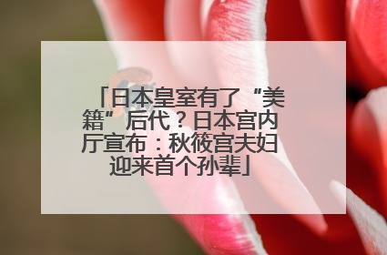 日本皇室有了“美籍”后代？日本宫内厅宣布：秋筱宫夫妇迎来首个孙辈