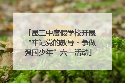 昆三中度假学校开展“牢记党的教导・争做强国少年”六一活动