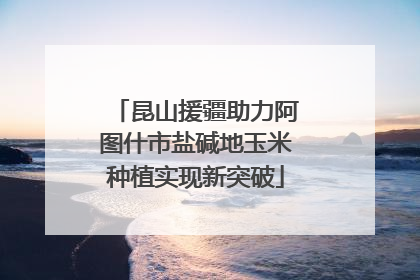 昆山援疆助力阿图什市盐碱地玉米种植实现新突破