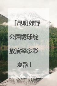 昆明郊野公园绣球绽放演绎多彩夏韵
