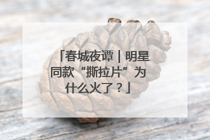 春城夜谭｜明星同款“撕拉片”为什么火了？