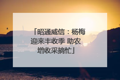 昭通威信：杨梅迎来丰收季 助农增收采摘忙