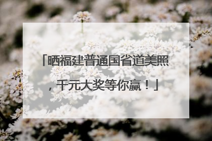 晒福建普通国省道美照，千元大奖等你赢！