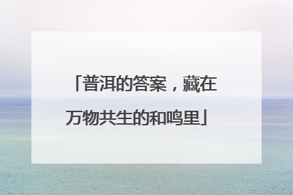 普洱的答案，藏在万物共生的和鸣里