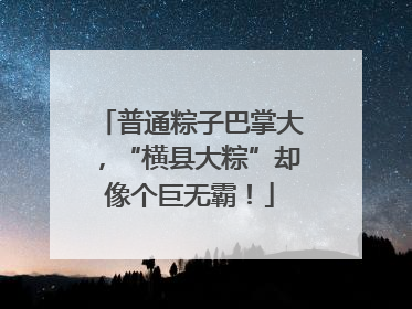 普通粽子巴掌大，“横县大粽”却像个巨无霸！