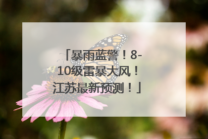 暴雨蓝警！8-10级雷暴大风！江苏最新预测！