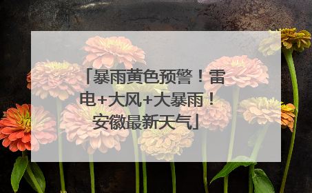 暴雨黄色预警！雷电+大风+大暴雨！安徽最新天气