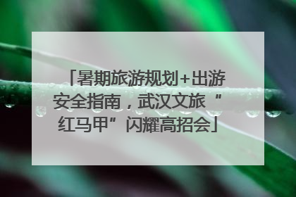 暑期旅游规划+出游安全指南，武汉文旅“红马甲”闪耀高招会
