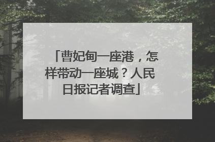曹妃甸一座港，怎样带动一座城？人民日报记者调查