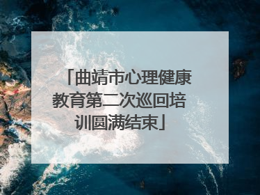 曲靖市心理健康教育第二次巡回培训圆满结束