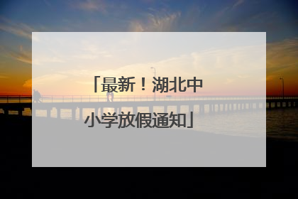 最新！湖北中小学放假通知