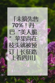 未摘先售70%！丹巴“美人脆”苹果尚在枝头就被预订｜长征路上看四川