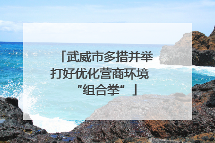 武威市多措并举打好优化营商环境“组合拳”