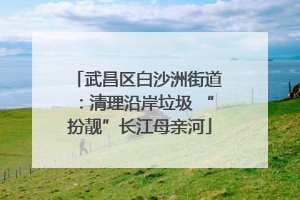 武昌区白沙洲街道：清理沿岸垃圾 “扮靓”长江母亲河