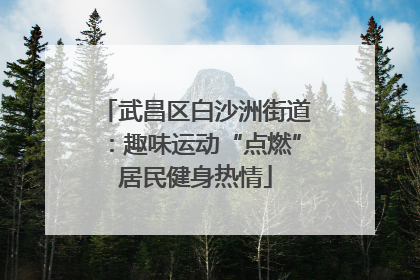 武昌区白沙洲街道：趣味运动“点燃”居民健身热情