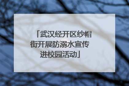 武汉经开区纱帽街开展防溺水宣传进校园活动