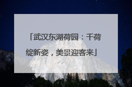 武汉东湖荷园：千荷绽新姿，美景迎客来